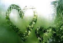 阿森纳迎欧联关键赛，转会期再遭质疑，引发热议，赛程密集仍需轮换的简单介绍